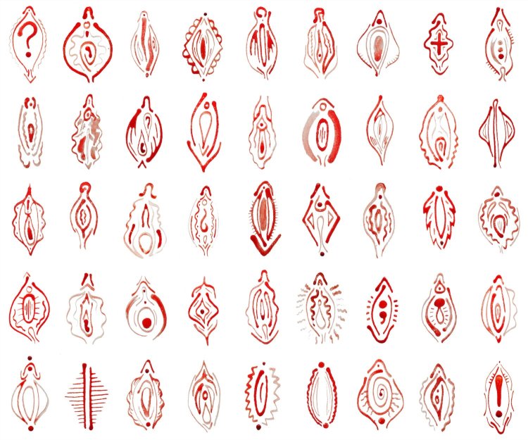 Разновидности влагалищ