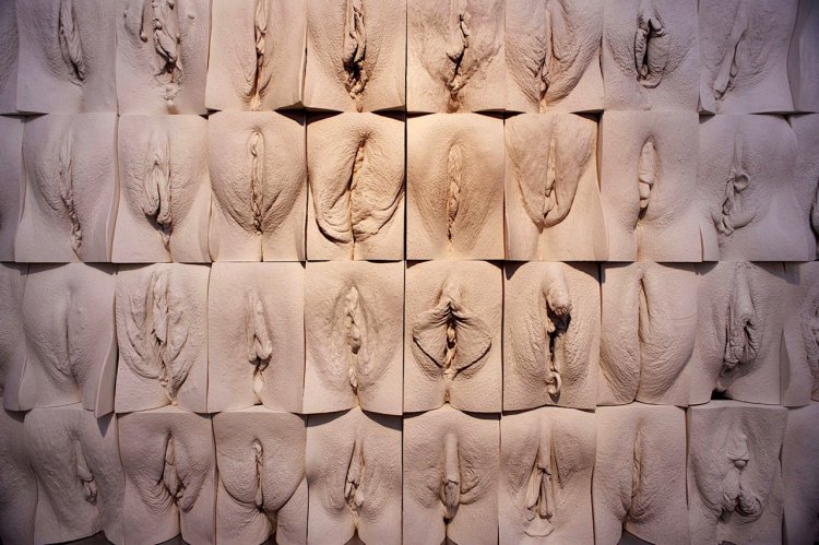 Джейми маккартни великая стена вагин