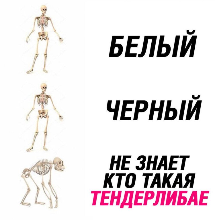 Фитоняшка Jen Selter