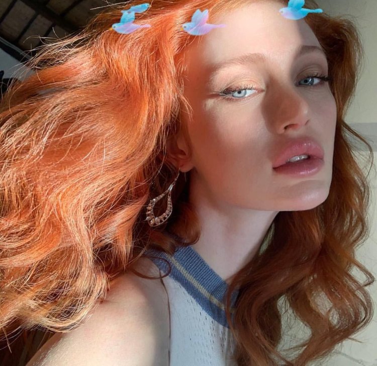 Мишель Сармиенто модель