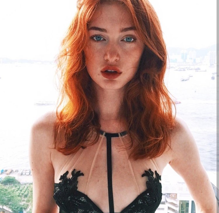 Анджелина Джоли с конем