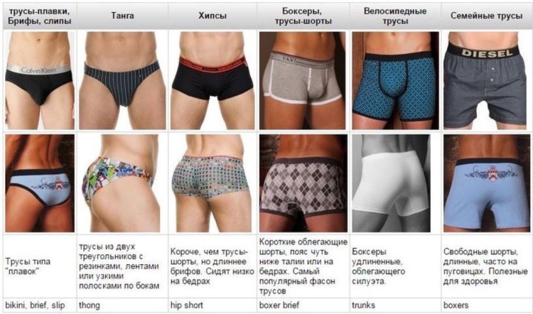 Типы мужских трусов
