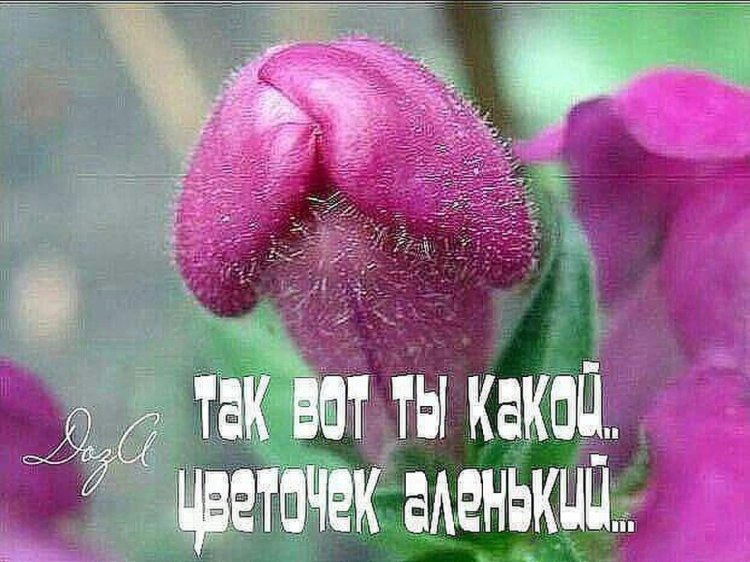 Тату на бедре женские