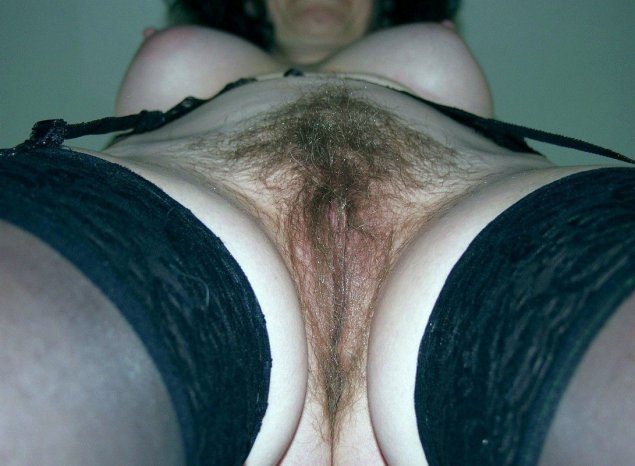 Сибирский коконопряд шелкопряд