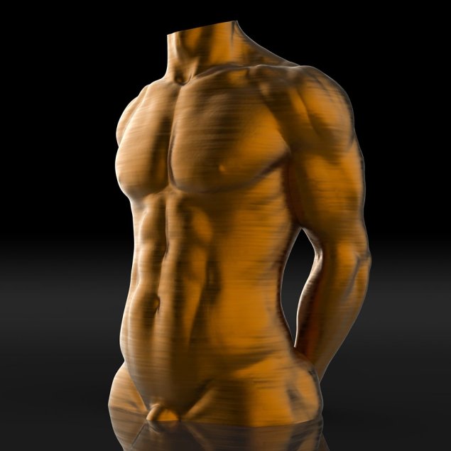 Торс человека