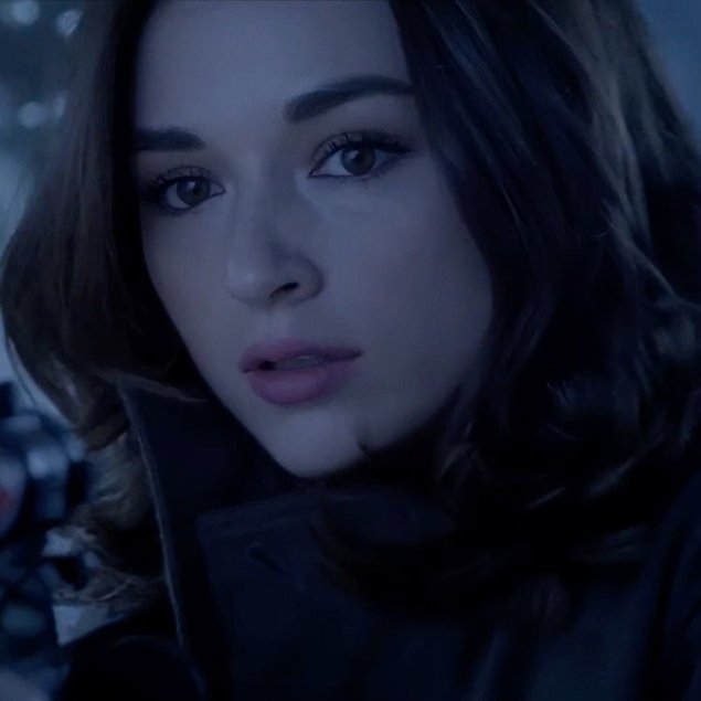 Волчонок эллисон