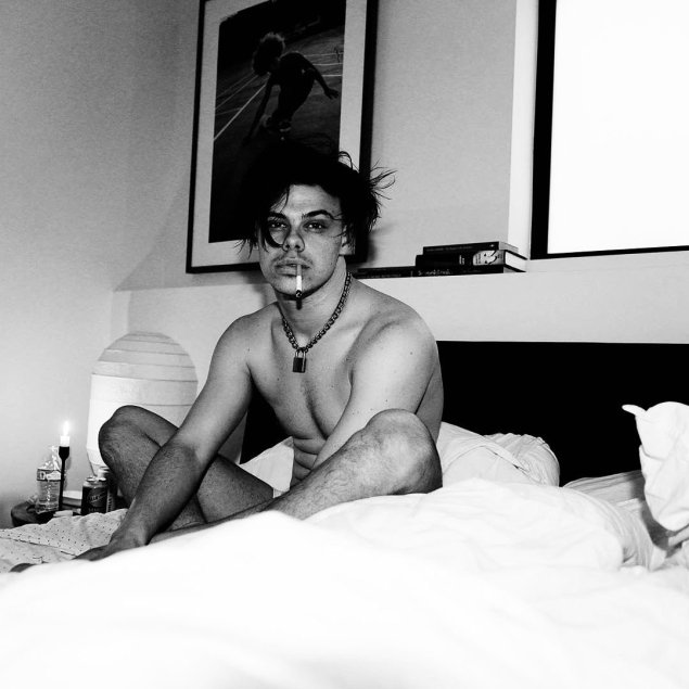 Дженили Харрисон