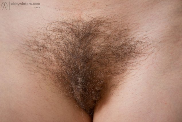 Красивый волосатый лобок