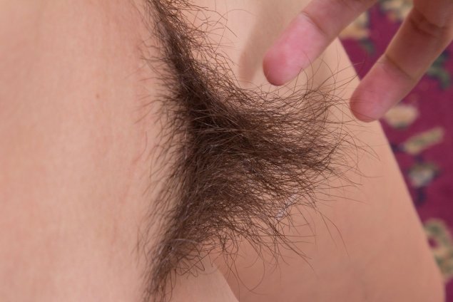 Красивый волосатый лобок