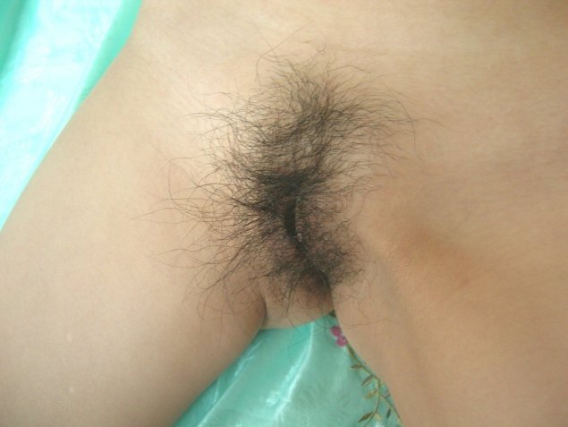 Первые волосы на лобке частное