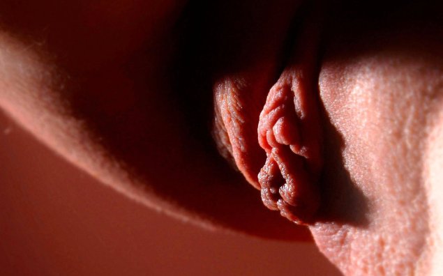 Самые красивые половые губы