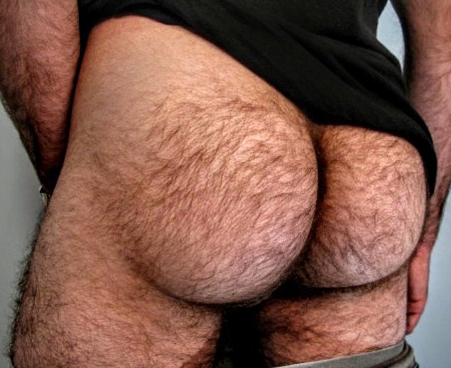 Волосатая мужская спина