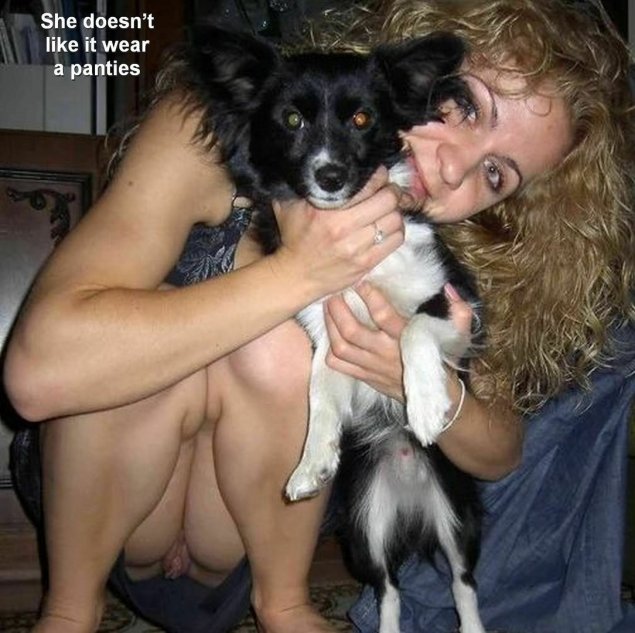 Собака дворняжка