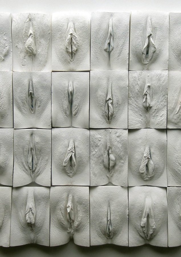 Разные формы женских гениталий