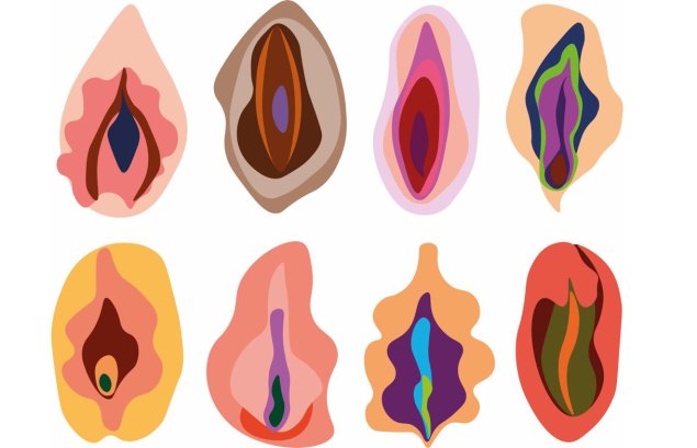 Форма влагалища в виде щавеля