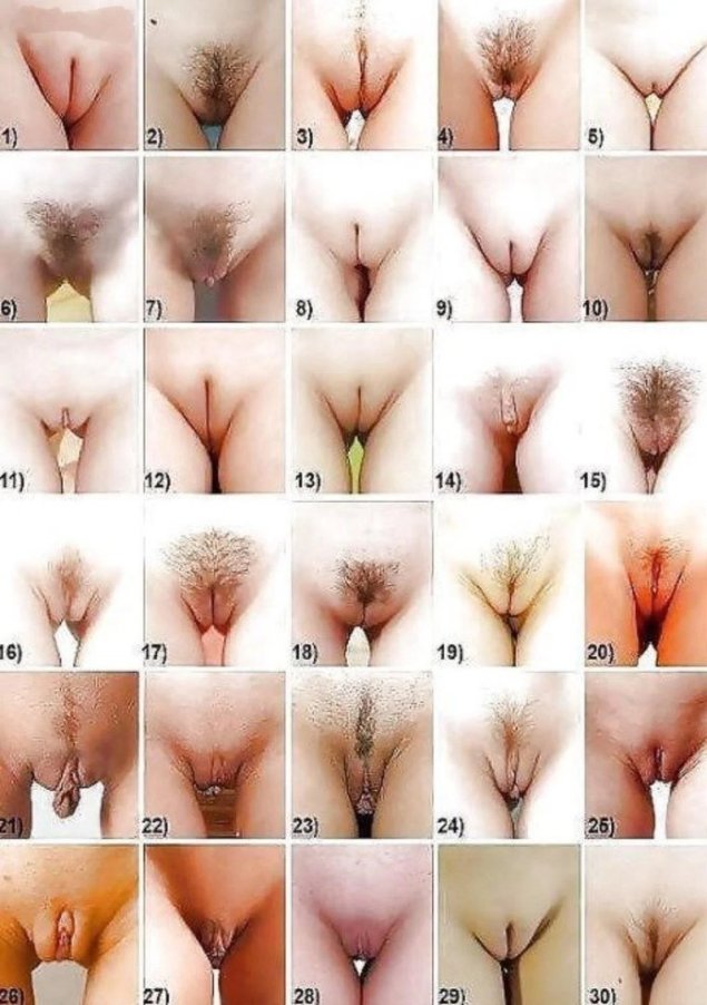 Формы женских влагалищ