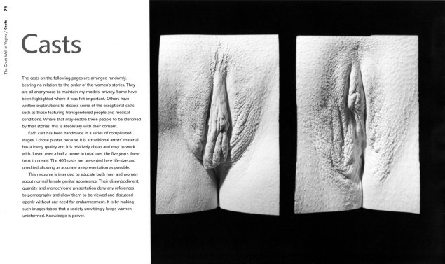 Слепки вагин Джейми Маккартни