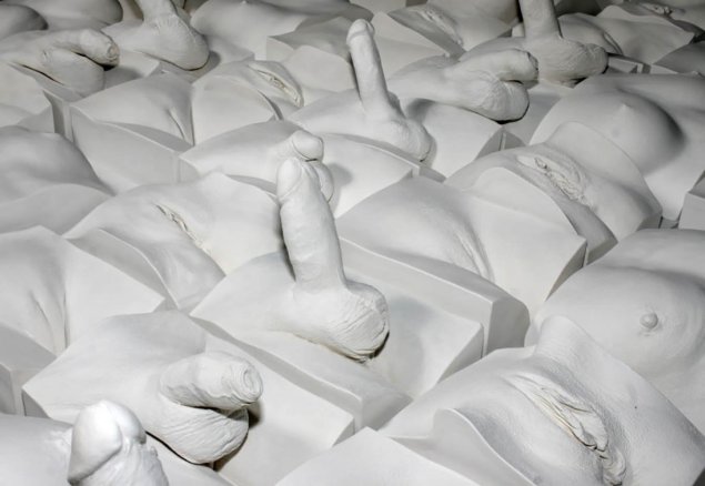 Стена вагин Джейми Маккартни