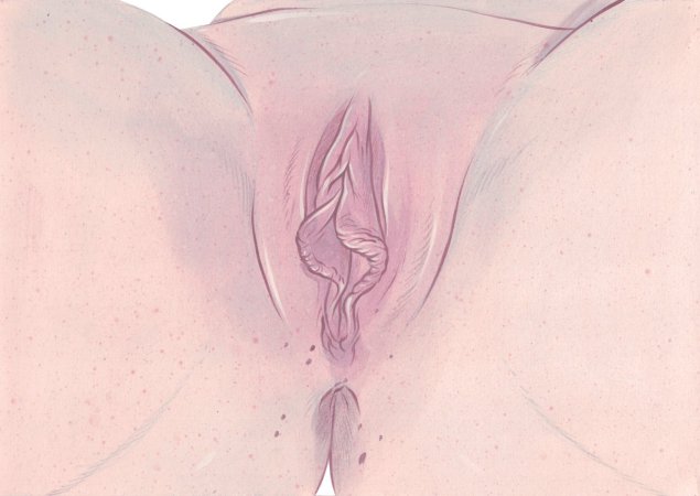 Женская вульва в искусстве