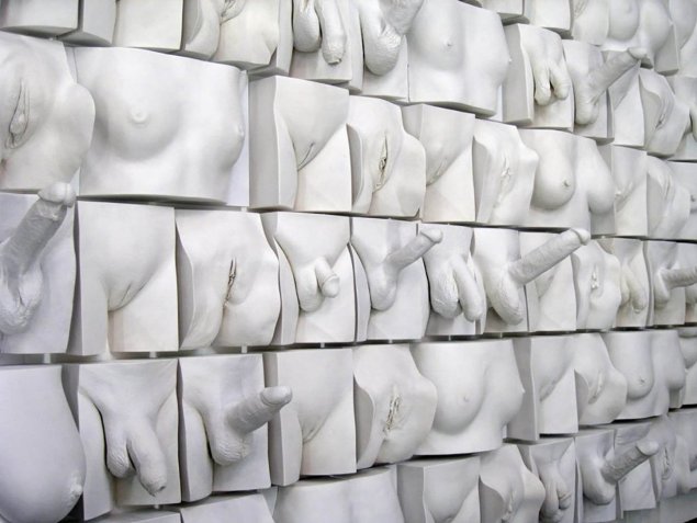 Стена вагин Джейми Маккартни