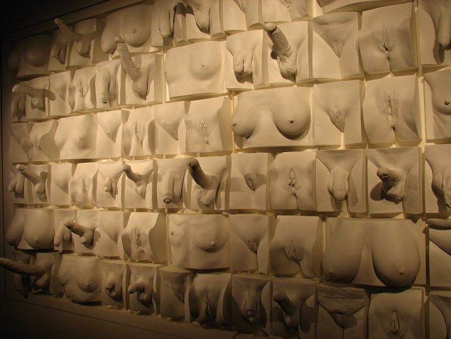 Слепки вагин Джейми Маккартни