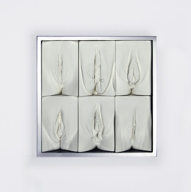 Слепки вагин Джейми Маккартни