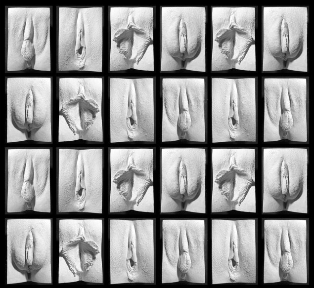 Слепки вагин Джейми Маккартни