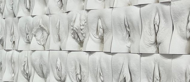 Джейми маккартни великая стена вагин