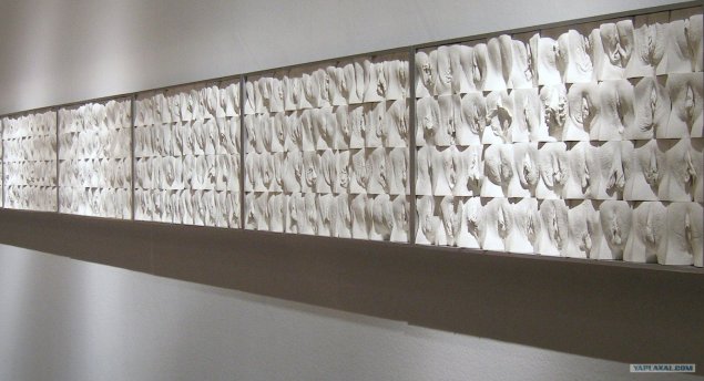 Джейми маккартни великая стена вагин