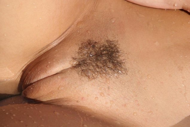 Светлые волосы на женском лобке