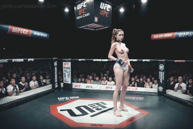 Смешанные единоборства ufc