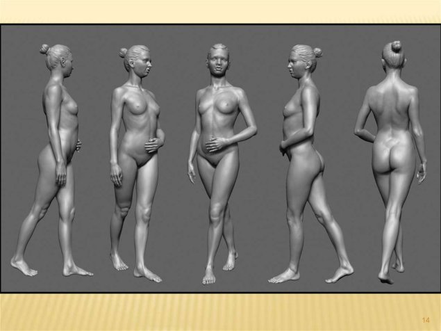 Фигура женщины с разных ракурсов