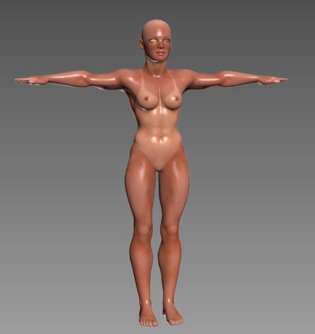 Reference poses голые женщины перспектива