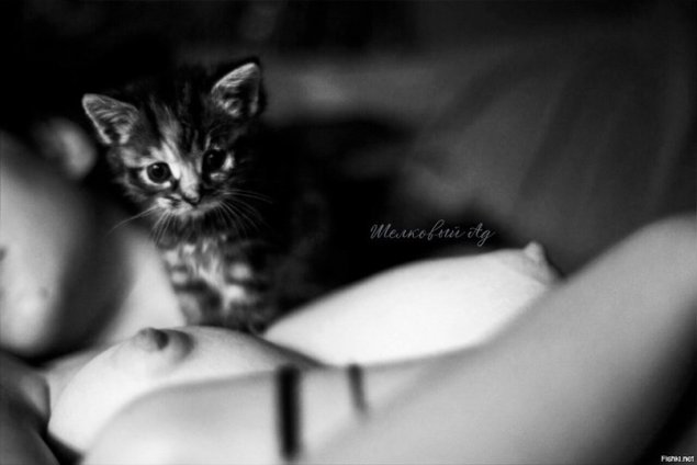 Красивые киски девчонок