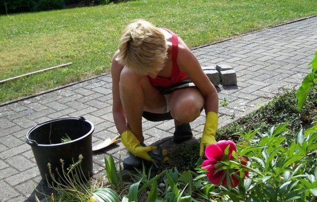 Женщина в трусах в огороде