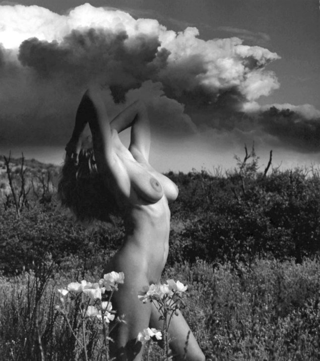 Шведская актриса анита экберг ню