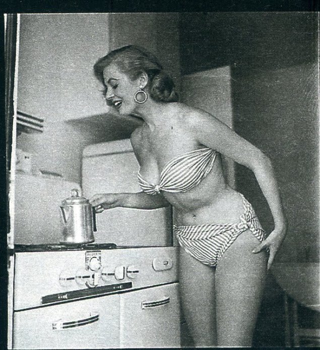 Шведская актриса анита экберг ню