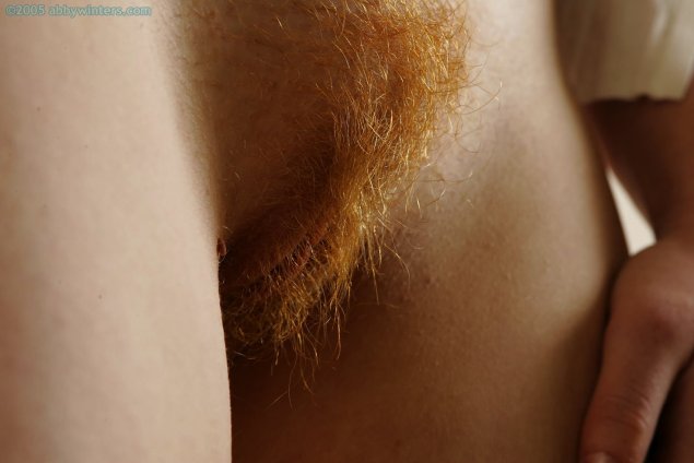 Рыжие волосы на женских лобках