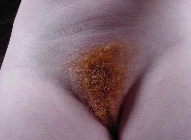 Маленькие волосы на лобке