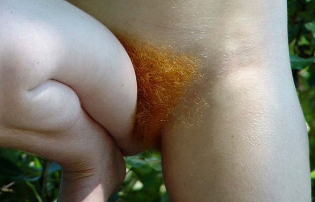 Рыжие волосатые без трусиков