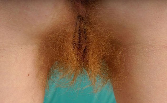Рыжие волосы на влагалище