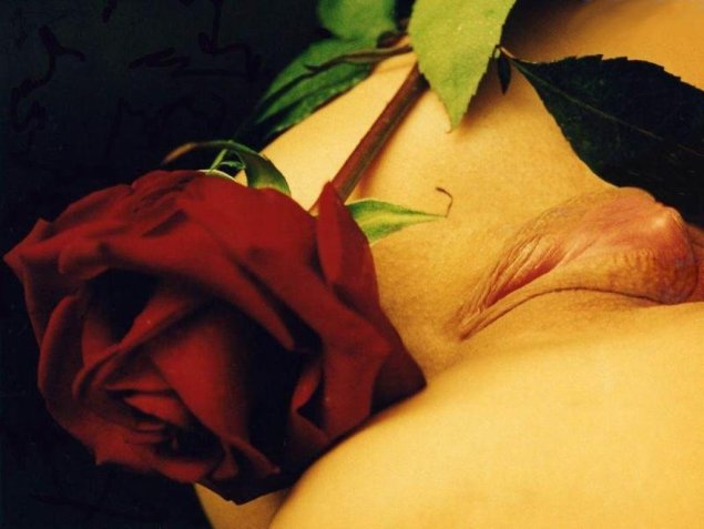 Красивый эротичный цветок