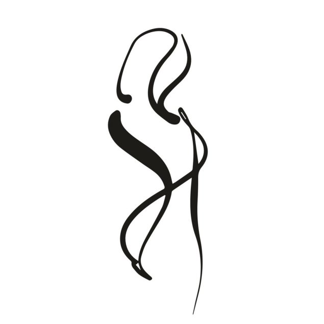 Виртуоз тонких линий Франсуа Дюбо