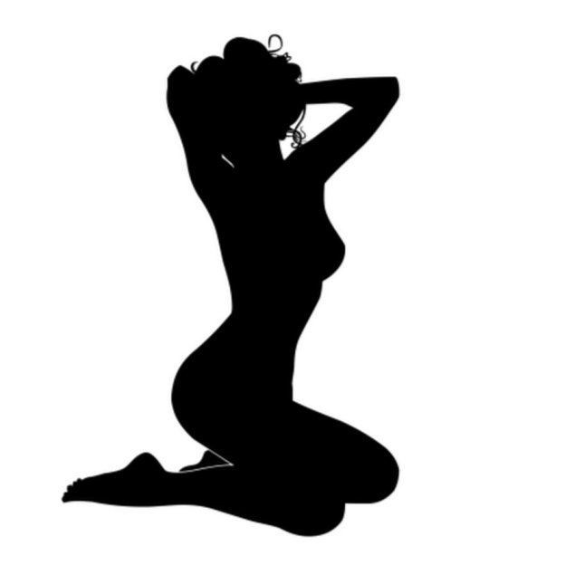 Силуэты голых женщин фото