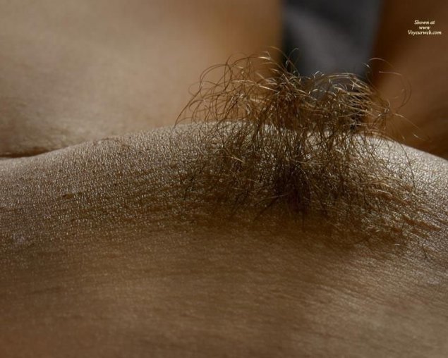 Вьющиеся волосы на лобке