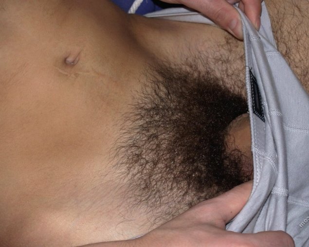 Красивый волосатый лобок