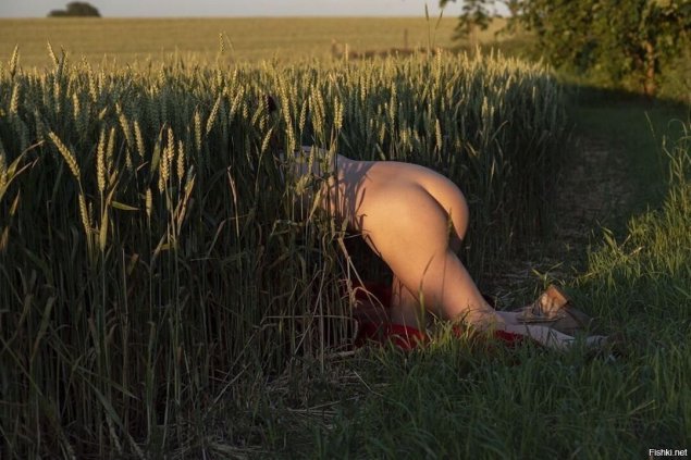 Эротическая фотосессия в поле