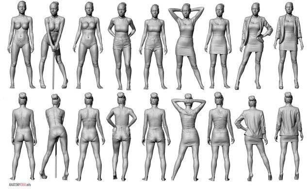 Женская фигура референс