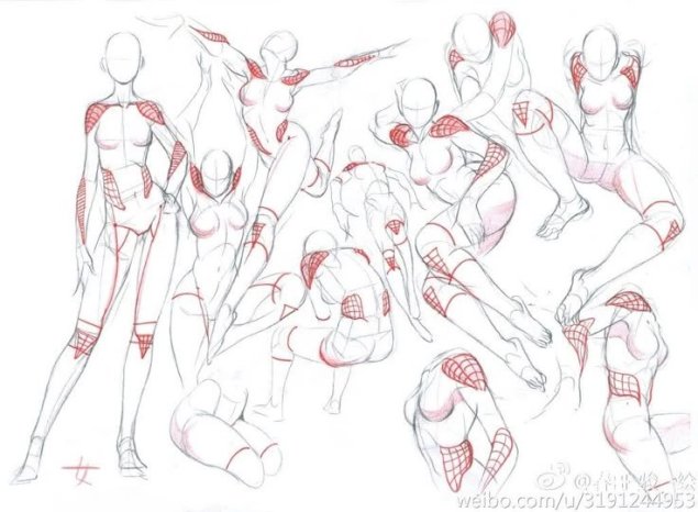 Анатомия референс позы