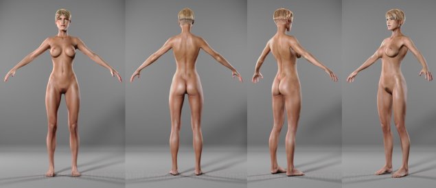 Голое женское тело референс